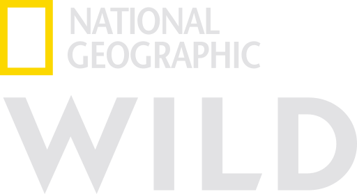 FR: NATIONAL GEOGRAPHIC WILD