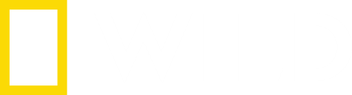 |PT| NATGEO WILD