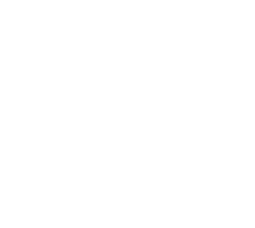 UK | SKY Witness