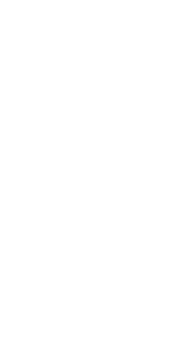 Tottenham Hotspur - EPL Premier League