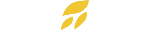 USA : ESNE