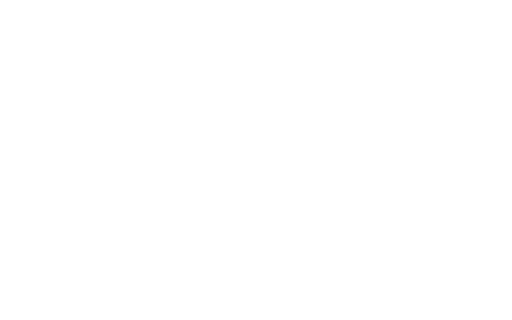 USA: NESN