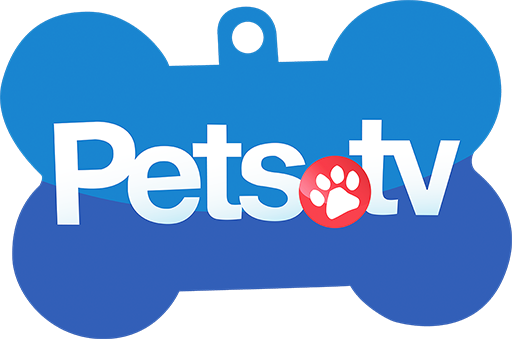 CAR: PETS