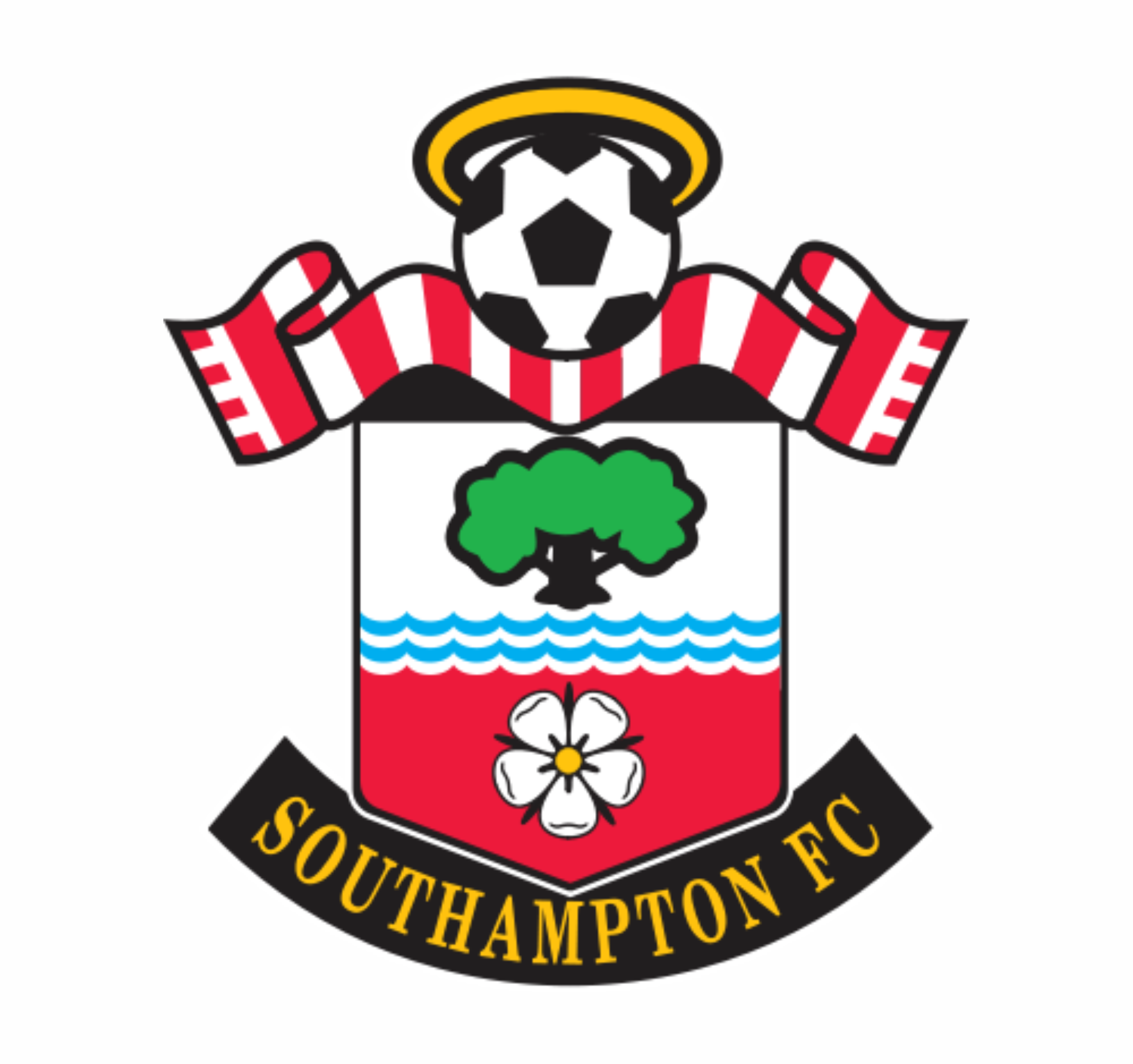 UK◈ Southampton - EPL Premier League