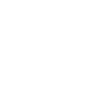 Flea Market Flip
