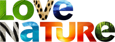 CA: Love Nature