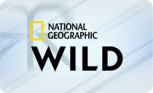 NAT GEO WILD |ᵀᴿ